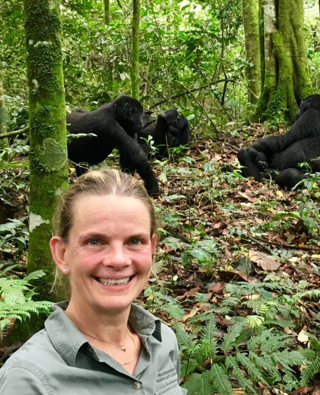 91D29874-AD5D-4758-932D-614E64300036_1_105_c